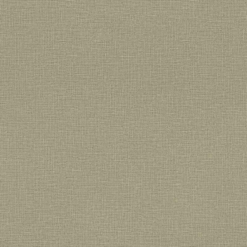 Gusto Wallpaper 1110 Series | Minimalist Design Wallpaper
